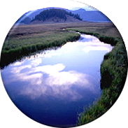 Montana Wetlands